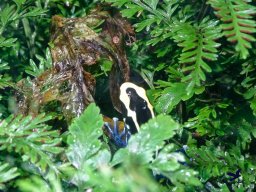 Haus des Meeres 13.03.2026